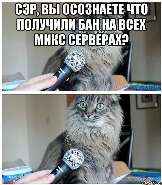 сэр, вы осознаете что получили бан на всех микс серверах? , Комикс  кот с микрофоном