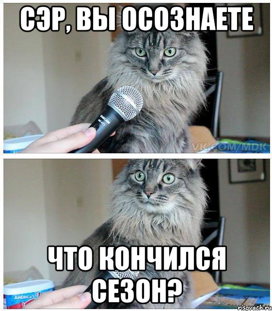 сэр, вы осознаете что кончился сезон?, Комикс  кот с микрофоном