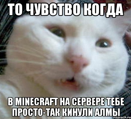 ТО ЧУВСТВО КОГДА В MINECRAFT НА СЕРВЕРЕ ТЕБЕ ПРОСТО-ТАК КИНУЛИ АЛМЫ