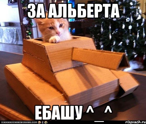 За альберта ЕБАШУ ^_^, Мем Котэ танкист