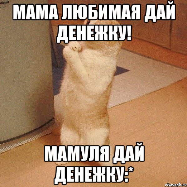 мама любимая дай денежку! мамуля дай денежку:*, Мем  котэ молится