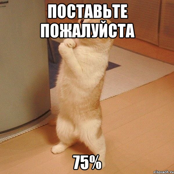 поставьте пожалуйста 75%, Мем  котэ молится