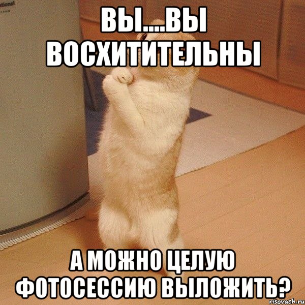 вы....вы восхитительны а можно целую фотосессию выложить?, Мем  котэ молится