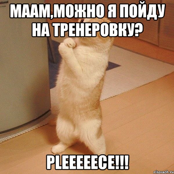 маам,можно я пойду на тренеровку? pleeeeece!!!, Мем  котэ молится