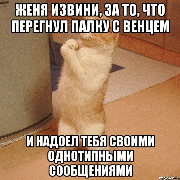 ЖЕНЯ ИЗВИНИ, ЗА ТО, ЧТО ПЕРЕГНУЛ ПАЛКУ С ВЕНЦЕМ И НАДОЕЛ ТЕБЯ СВОИМИ ОДНОТИПНЫМИ СООБЩЕНИЯМИ, Мем  котэ молится