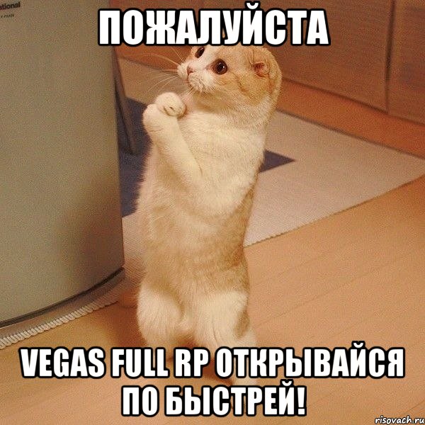 Пожалуйста Vegas Full Rp открывайся по быстрей!, Мем  котэ молится