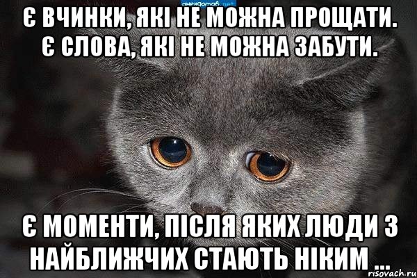 є вчинки, які не можна прощати. є слова, які не можна забути. є моменти, після яких люди з найближчих стають ніким …