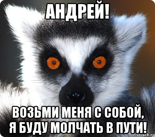 Ты возьми меня с собой. Мем возьмите меня с собой. Лемур Андрей. Приколы про Андрея. Открытки возьми меня.