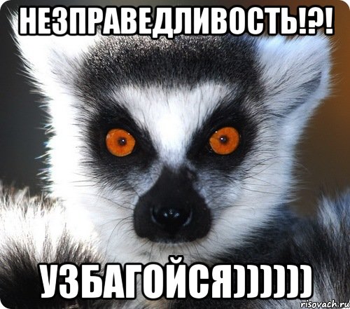 Какое животное говорит успокойся. Лемур Збагойна. Никита узбагойся. Узбагойся Мем. Збагойно Мем.