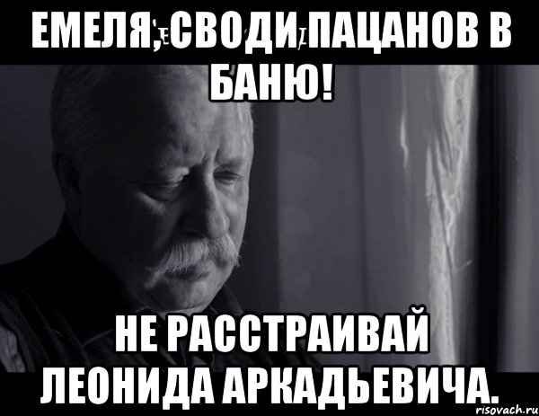 емеля, своди пацанов в баню! не расстраивай леонида аркадьевича., Мем Не расстраивай Леонида Аркадьевича