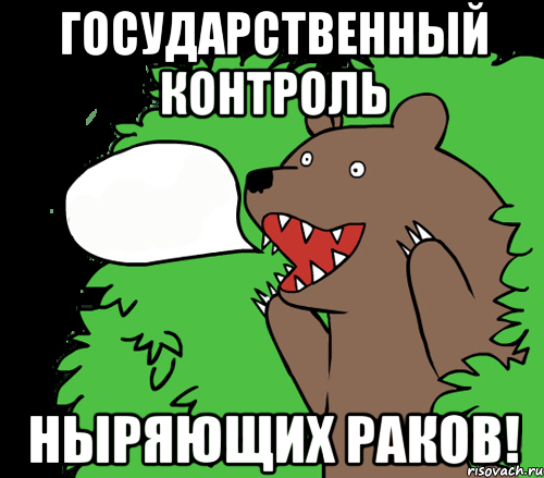 государственный контроль ныряющих раков!, Комикс медведь из кустов