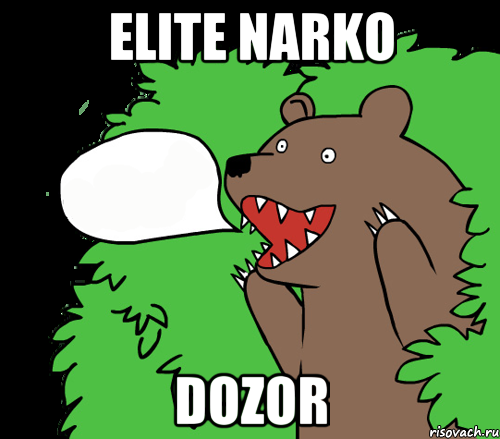 elite narko dozor, Комикс медведь из кустов