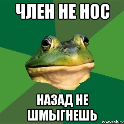 член не нос назад не шмыгнешь, Мем  Мерзкая жаба