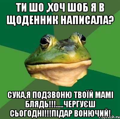 Ти шо ,хоч шоб я в щоденник написала? Сука,я подзвоню твоїй мамі блядь!!!.....чергуєш сьогодні!!!Підар вонючий!, Мем  Мерзкая жаба