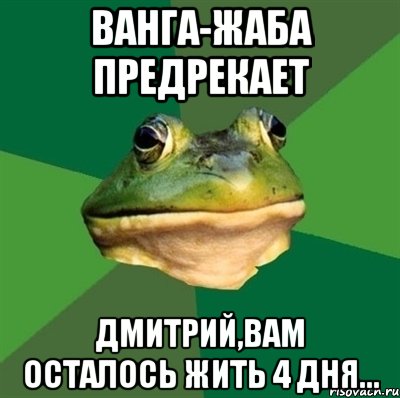 ВАНГА-жаба предрекает Дмитрий,Вам осталось жить 4 дня..., Мем  Мерзкая жаба