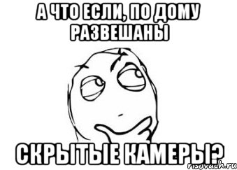 А что если, по дому развешаны Скрытые камеры?, Мем Мне кажется или