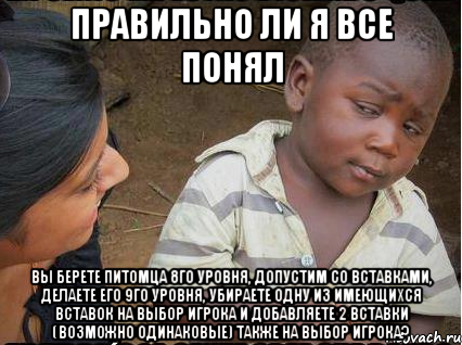 Правильно ли я все понял вы берете питомца 8го уровня, допустим со вставками, делаете его 9го уровня, убираете одну из имеющихся вставок на выбор игрока и добавляете 2 вставки (возможно одинаковые) также на выбор игрока?, Мем    Недоверчивый негритенок