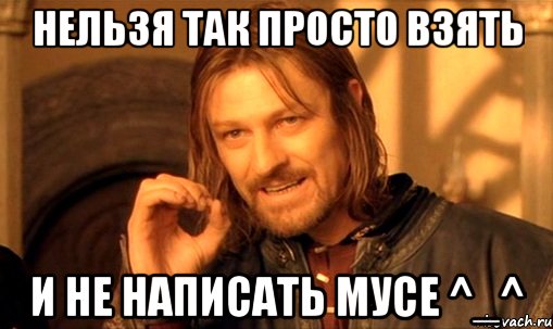 нельзя так просто взять и не написать мусе ^_^, Мем Нельзя просто так взять и (Боромир мем)