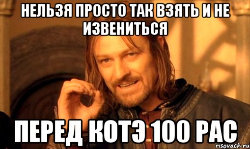 нельзя просто так взять и не извениться перед котэ 100 рас, Мем Нельзя просто так взять и (Боромир мем)