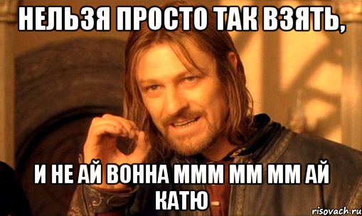 нельзя просто так взять, и не ай вонна ммм мм мм ай катю, Мем Нельзя просто так взять и (Боромир мем)