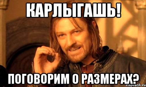 карлыгашь! поговорим о размерах?, Мем Нельзя просто так взять и (Боромир мем)