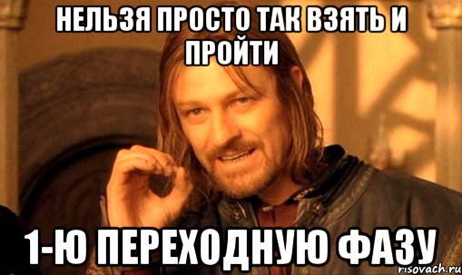 нельзя просто так взять и пройти 1-ю переходную фазу, Мем Нельзя просто так взять и (Боромир мем)