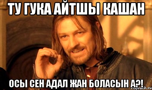 ту Гука айтшы кашан осы сен адал жан боласын а?!, Мем Нельзя просто так взять и (Боромир мем)