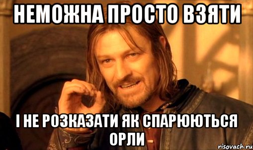 неможна просто взяти і не розказати як спарюються орли, Мем Нельзя просто так взять и (Боромир мем)