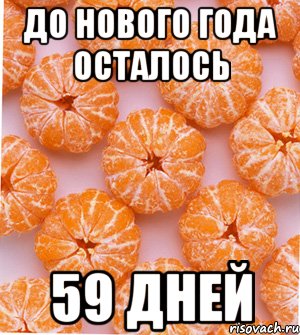 до нового года осталось 59 дней, Мем  НОВОГОДНИЕ СЕМКИ