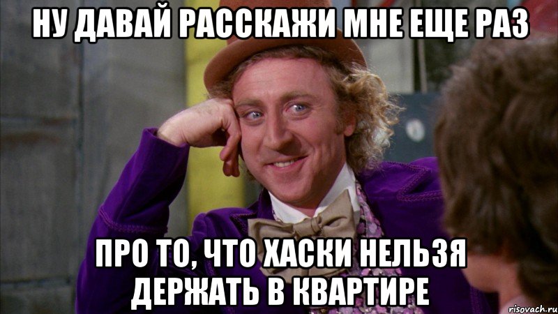 ну давай расскажи мне еще раз про то, что Хаски нельзя держать в квартире, Мем Ну давай расскажи (Вилли Вонка)