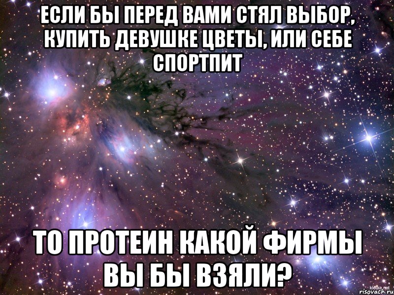 если бы перед вами стял выбор, купить девушке цветы, или себе спортпит то протеин какой фирмы вы бы взяли?, Мем Космос