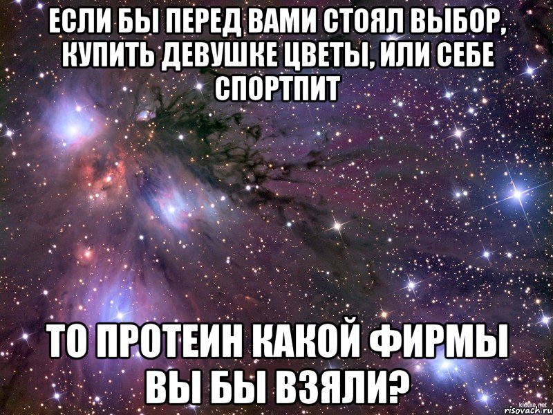 если бы перед вами стоял выбор, купить девушке цветы, или себе спортпит то протеин какой фирмы вы бы взяли?, Мем Космос