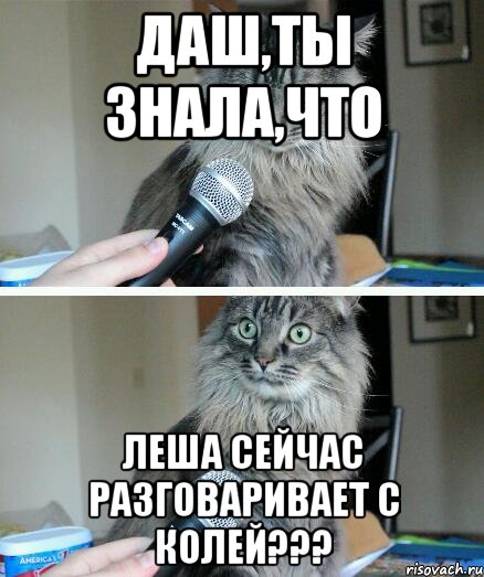 даш,ты знала,что леша сейчас разговаривает с колей???, Комикс  кот с микрофоном