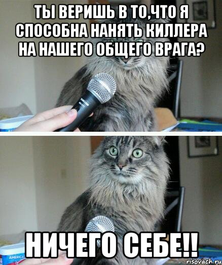 ты веришь в то,что я способна нанять киллера на нашего общего врага? ничего себе!!, Комикс  кот с микрофоном