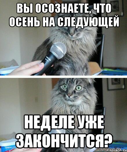 вы осознаете, что осень на следующей неделе уже закончится?, Комикс  кот с микрофоном