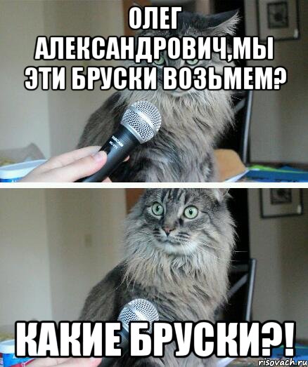 Надеяться отправить. Котик с микрофоном Мем. Картинки про кота Олега.