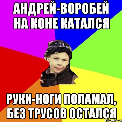 андрей-воробей на коне катался руки-ноги поламал, без трусов остался, Мем пацан з дворка