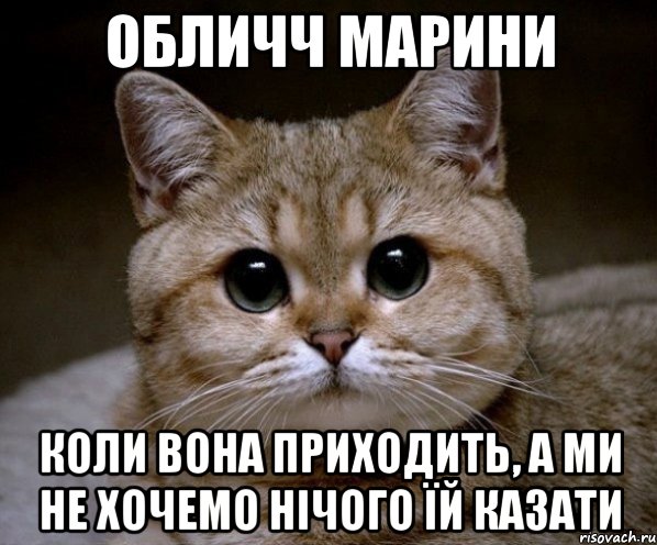 обличч марини коли вона приходить, а ми не хочемо нічого їй казати, Мем Пидрила Ебаная