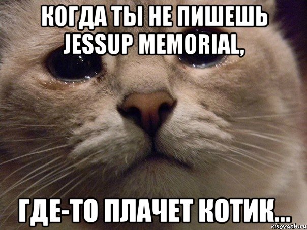 когда ты не пишешь jessup memorial, где-то плачет котик..., Мем   В мире грустит один котик