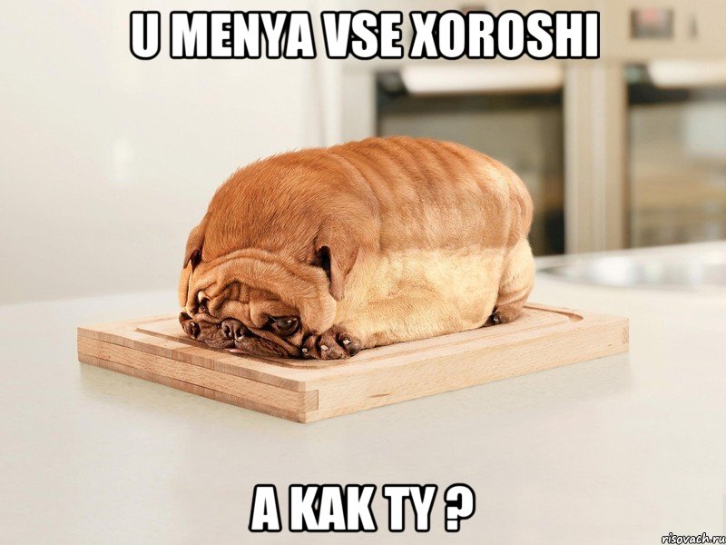 u menya vse xoroshi a kak ty ?, Мем хлеб