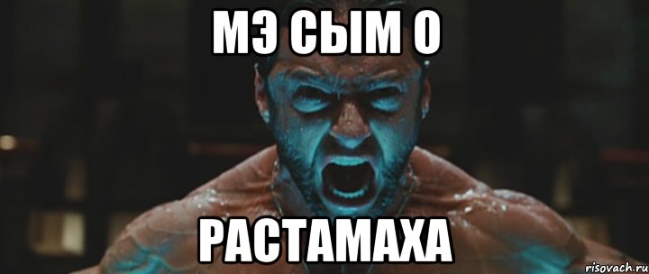 Мэ сым о РАСТАМАХА, Мем росомаха