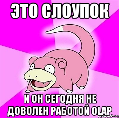 это слоупок и он сегодня не доволен работой olap, Мем слоупок