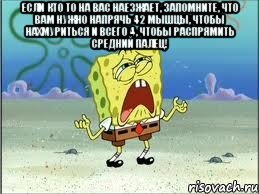 если кто то на вас наезжает, запомните, что вам нужно напрячь 42 мышцы, чтобы нахмуриться и всего 4, чтобы распрямить средний палец! , Мем Спанч Боб плачет