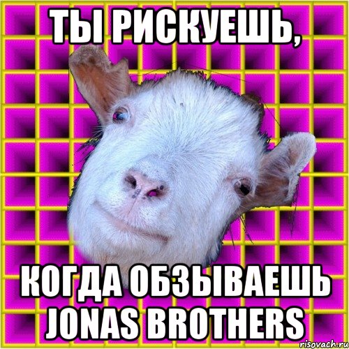 ты рискуешь, когда обзываешь jonas brothers