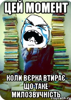 цей момент коли вєрка втирає що таке милозвучність, Мем Типовий десятикласник