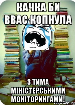 качка би ввас копнула з тима міністерськими моніторингами!, Мем Типовий десятикласник