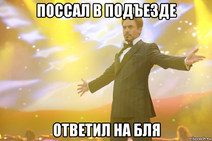 поссал в подъезде ответил на бля, Мем Тони Старк (Роберт Дауни младший)