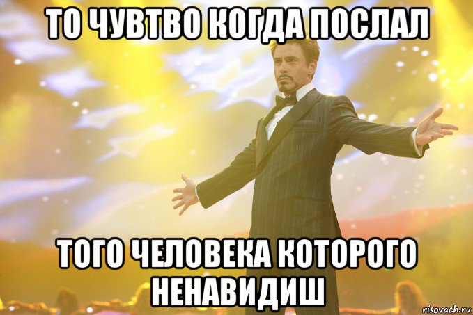 то чувтво когда послал того человека которого ненавидиш, Мем Тони Старк (Роберт Дауни младший)