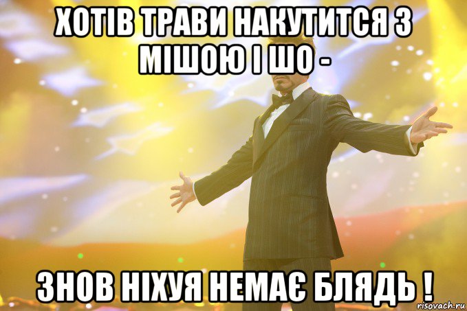 Хотів трави накутится з Мішою і шо - Знов ніхуя немає блядь !, Мем Тони Старк (Роберт Дауни младший)