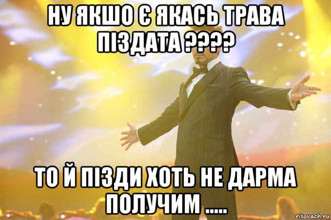 Ну якшо є якась трава Піздата ???? То й пізди хоть не дарма получим ....., Мем Тони Старк (Роберт Дауни младший)